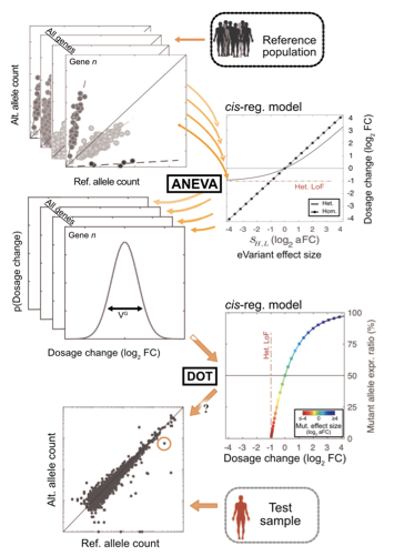 Transcriptomic signatures across human tissues identify functional rare  genetic variation